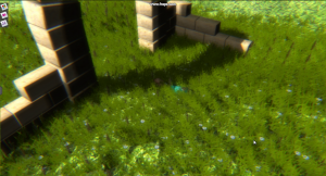 shadow_on_grass